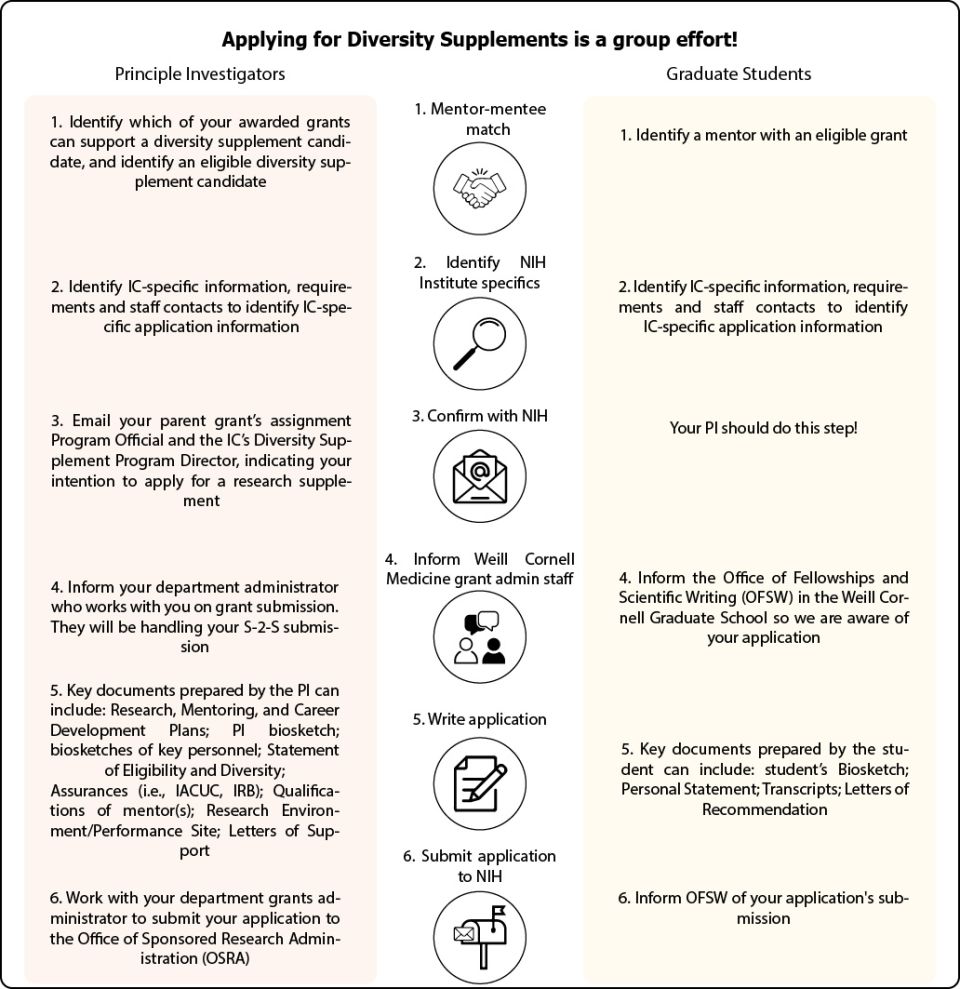 Flow chart demonstrating the parallel roles of the PI and graduate student candidates